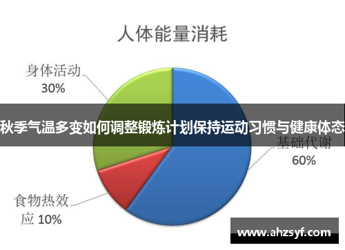 秋季气温多变如何调整锻炼计划保持运动习惯与健康体态